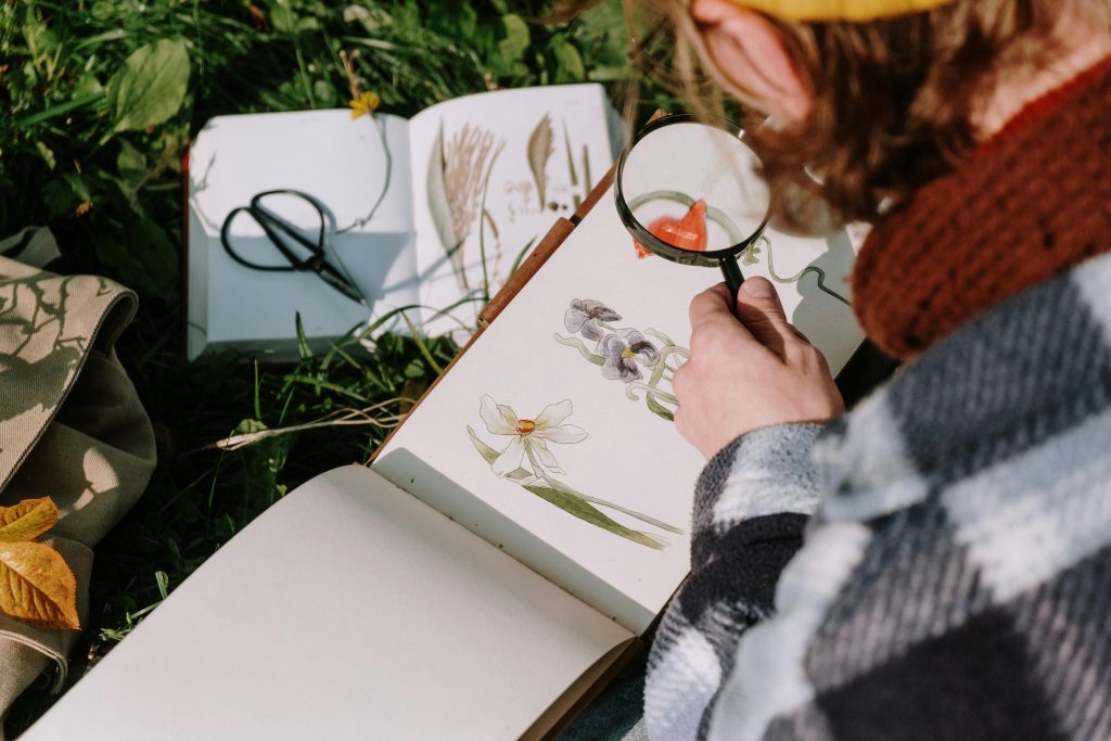 Person examining plant illustrations in a book with a magnifying glass outdoors.